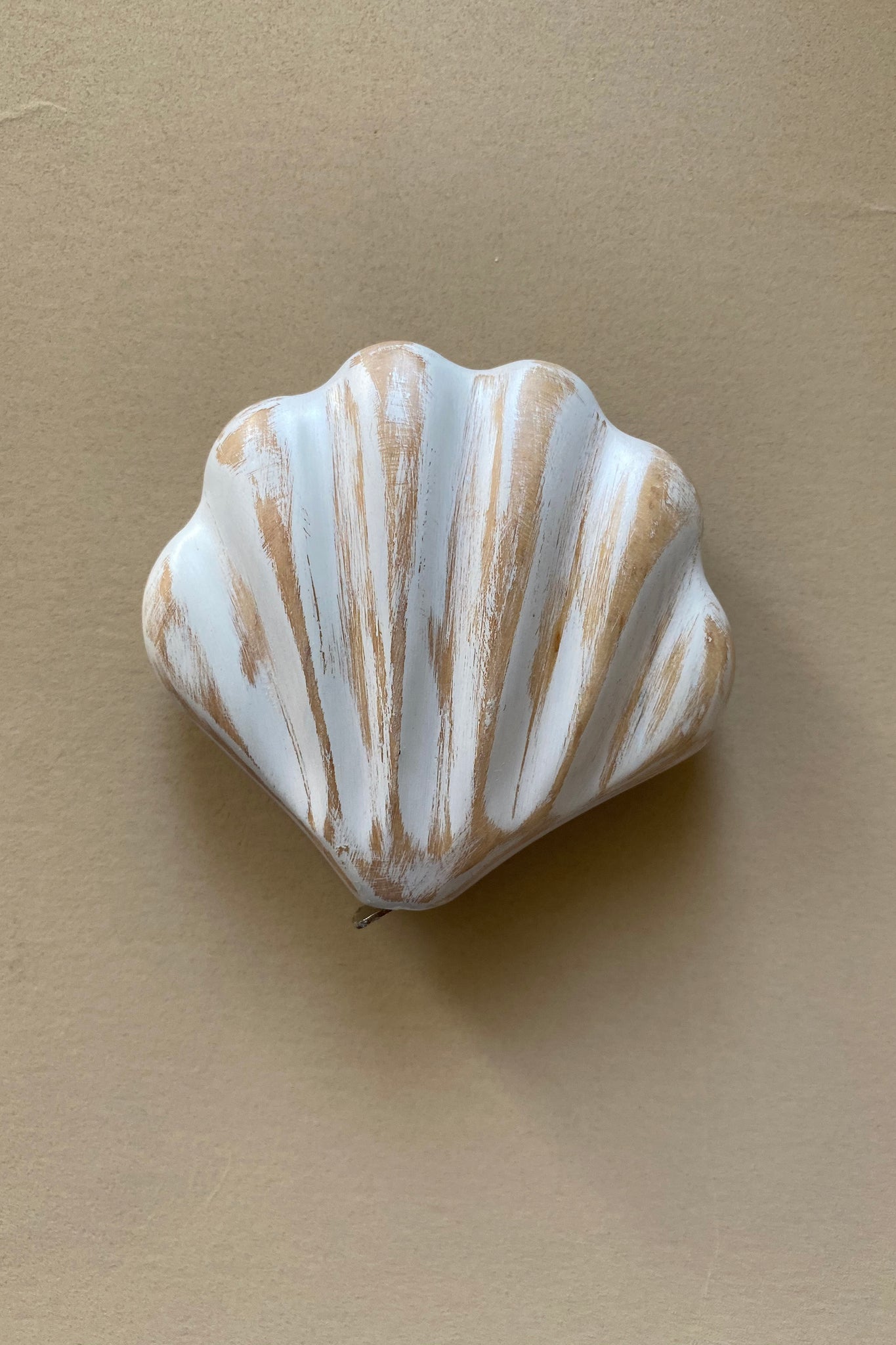 Seashell Measuring Tapes