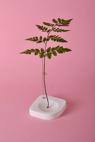 Scoop (White)